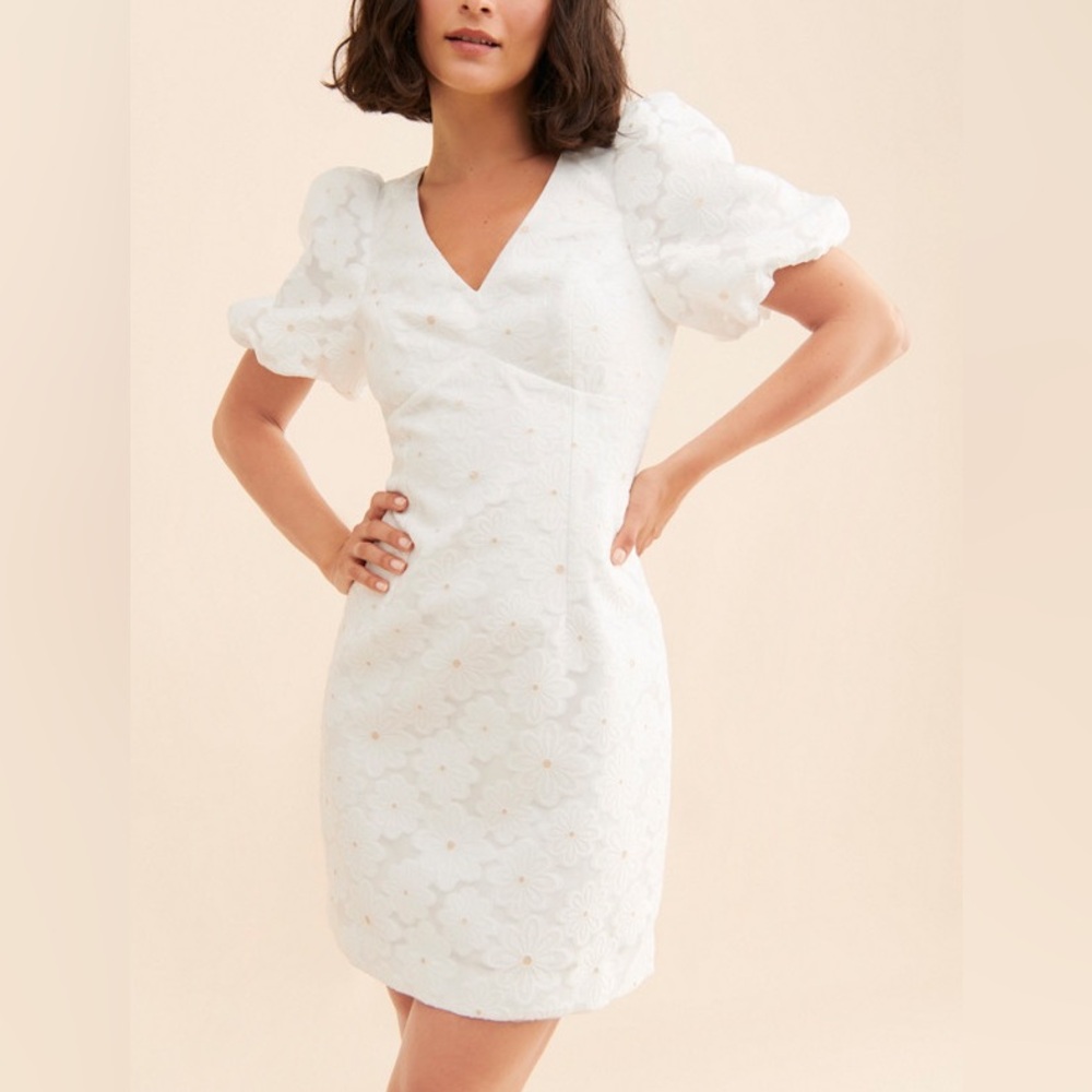 Lilly Pulitzer Citra Organza Dress - Picture 1 of 12